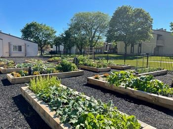 A community garden in a yard with trees in the background